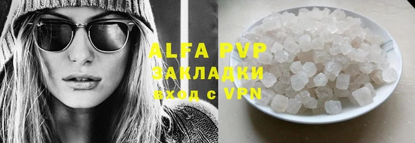 крисы Алзамай