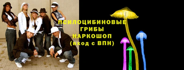 spice Алексин