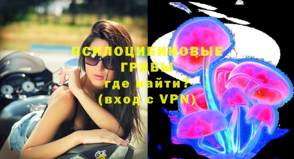крисы Алзамай