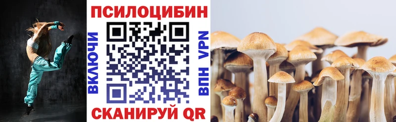 Псилоцибиновые грибы Magic Shrooms Талдом